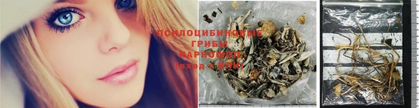 гидропоника Коряжма