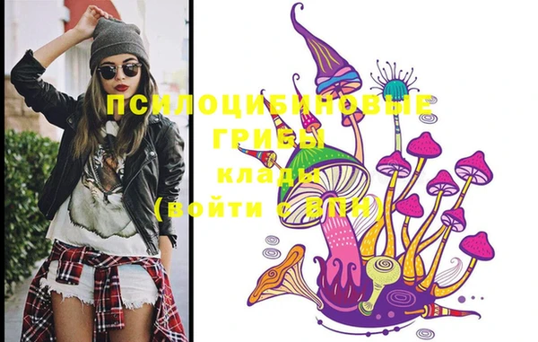 не бодяженный Корсаков