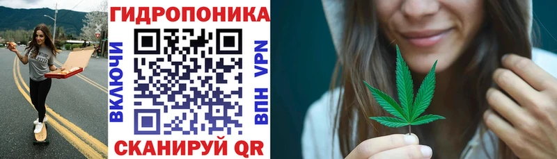 Бошки марихуана VHQ  blacksprut сайт  Лахденпохья 